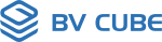 BV CUBE